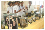 sakthi college of nursing